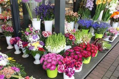 花滿堂花店加盟 把握商機，共創(chuàng)繁花似錦的創(chuàng)業(yè)之路