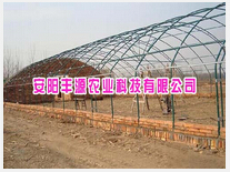 花卉大棚 廠家、種植價格與成本詳解