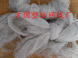 奇石——多元產(chǎn)品線下的專業(yè)防護(hù)網(wǎng)生產(chǎn)供應(yīng)商